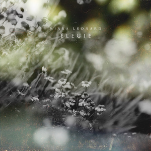 福瑞流酸奶图片
